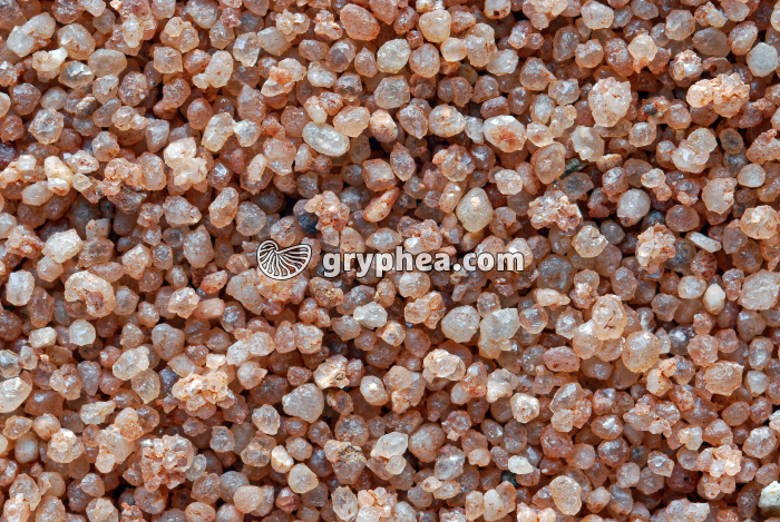 Arène de grès vosgien x2 - gryphea.org